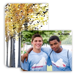 Graphic and Photo Enlargements (Custom)
